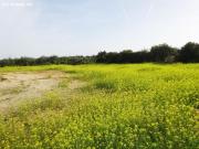 Casa, nave y parcela de 2.716 M2 a pocos metros de la...