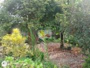 Casa no boehmerwald com 2 quartos para venda, 54 mâ²