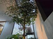 CASA NUEVA EN VENTA, COTO RESIDENCIAL, LOS NARANJOS,...