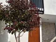 CASA NUEVA MILENIO III QUERÉTARO