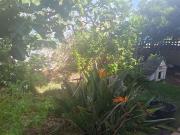 Casa o chalet de alquiler en Carrer de Rafalcaid, 52,...