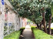Casa o Terreno en venta en la Colonia Narvarte. Terreno...