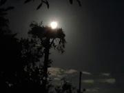 Casa Pachino Pachino 96018 ES81431356