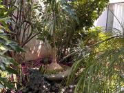 Casa para actualizar o como terreno teca