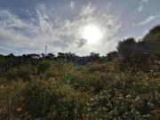 Casa para Adega para Recuperar com Logradouro em Freiria