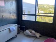 Casa para Aluguel com 4 quartos, 270 m² por R$ 7.500