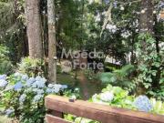 Casa para aluguel em Butiatuvinha