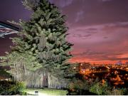 CASA PARA BODAS Y EVENTOS EN MANIZALES