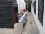 Casa para locação com Quintal e Escritório — Planalto...