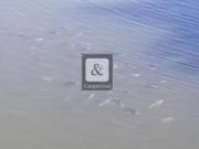 Casa para Locação em Campinas, Loteamento Alphaville...