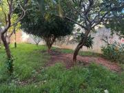 Casa para Locação Residencial ou Comercial em excelente...