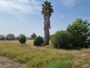 casa para reformar con 7500 m2 de parcela