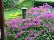 Casa para Venda e locação no Jardim São Bento, 1.150 m²,...