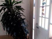 Casa para venda em Cidade Das Flores em Osasco São Paulo...