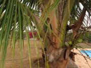 Casa para venda em Condomínio Fechado Village Haras São...