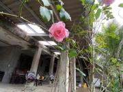 Casa para Venda em Itanhaém, Jardim Fenix, 5...