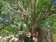 Casa para Venda em Itaquaquecetuba, Parque Nossa Senhora...