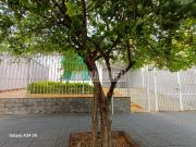 Casa para venda em Jardim Gonçalves em Sorocaba São...