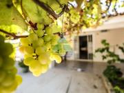 Casa para venda em Lagoinha Condomínio Samola de...