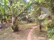 Casa para venda em Parque Cerejeiras em Suzano São Paulo...