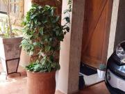 Casa para venda em Residencial De Lorenzi de 185.00m²...