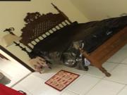 Casa para venda em Riviera De Santa Cristina I de...