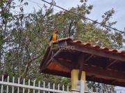 Casa para venda em Sousas em Campinas São Paulo de...