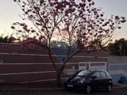 Casa para venda em Vila Rodrigues Alves de 190.00m² com...