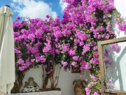 Casa pareada en venta en Almadén de la Plata. Casa...