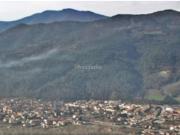 Casa pareada en venta en Amer. Cases adossades de 214m2...