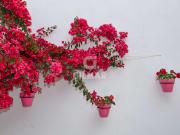 Casa pareada en venta en Estepona, Centro. En el corazón...