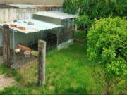 Casa pareada en venta en Seva. Casa amb jardi al centre...