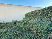 Casa pareada en venta en Tarifa, Facinas. Casa en...