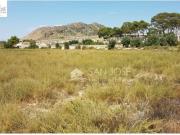 CASA PEQUEÑA ALBERGUE CON TERRENO EN NORIAS MONFORTE DEL...
