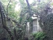 CASA PIEDRA RIBEIRO con terreno