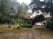 Casa PLURILOCALE in affitto a Viareggio Lu