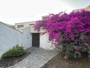 Casa por remodelar o Terreno en Los Alamos de Monterrico
