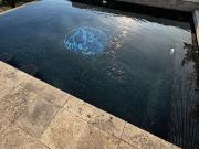 CASA PRIVADA AL SUR DE CUERNAVACA, MOR. EN COLINAS DE... CASA PRIVADA AL SUR DE CUERNAVACA, MOR. EN COLINAS DE...