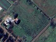 Casa en venta, 1,5 has. 2 viviendas, tinglado, quincho,...