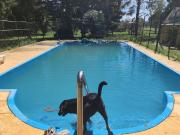 Casa quinta de 8 ambientes con pileta y 4 hectareas de...