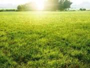 Casa Quinta en Venta, en Loma Verde, Escobar, G.B.A. Norte