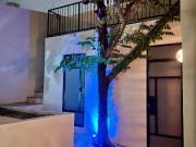 Casa remodelada de una planta en el Centro de Mérida