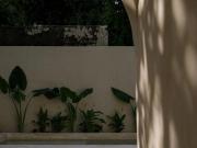 CASA REMODELADA EN ITZIMÁ