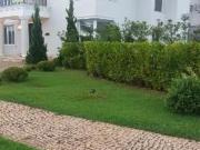 Casa, Reserva Real, Paulínia, SP
