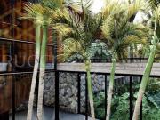 Casa Residencial à venda, Loteamento Caminhos de San...