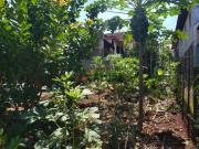 Casa Residencial com 5 quartos Ã venda por R$ 250000.00,...