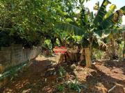 Casa Residencial / Condomínio Parque São Gabriel