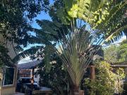 Casa Residencial Cumbres