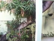 Casa residencial Ã venda, IcaraÃ, NiterÃ³i