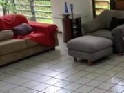 Casa Residencial/Comercial para alugar na zona Leste...